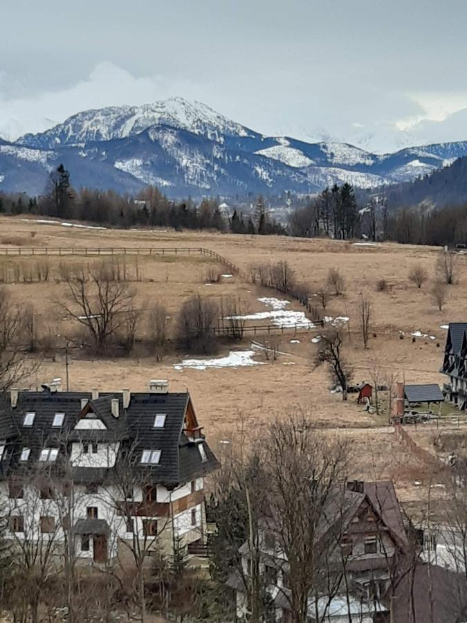 Willa U Magdy Zakopane Exterior foto